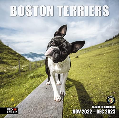 אמבר אדום בוסטון טריירס 2023 לוח השנה החודשי המתנגד | 12 x 24 פתוח | נייר עבה ויציב | מתנה | כלב חמוד